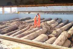 Fumigation-1
