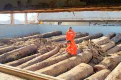 Fumigation-2