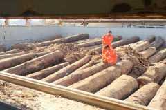 Fumigation-3