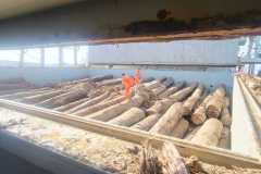 Fumigation-5