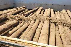 Fumigation-6