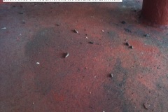 IMG-20140228-WA0050